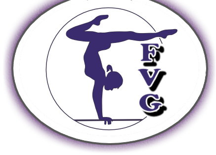 FVG Gymnast Logo